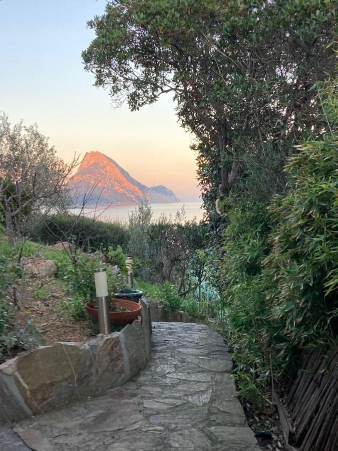 Molarotto Villa Porto Taverna Kültér fotó