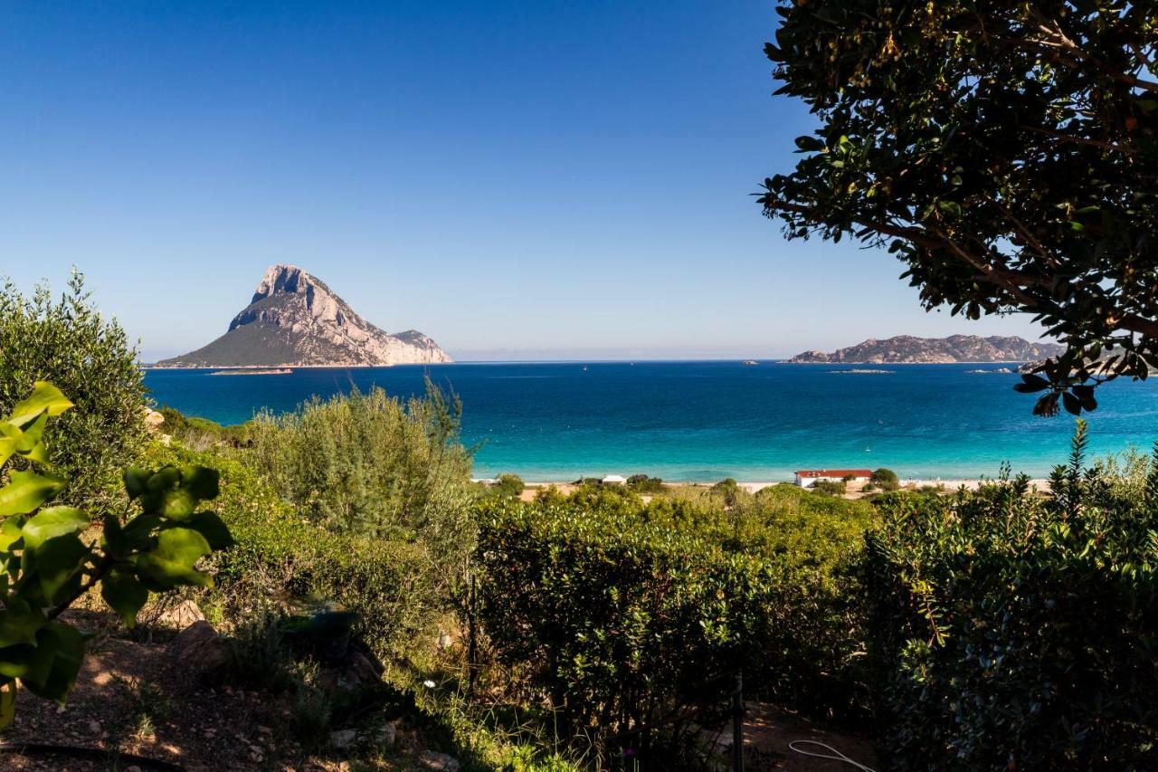 Molarotto Villa Porto Taverna Kültér fotó